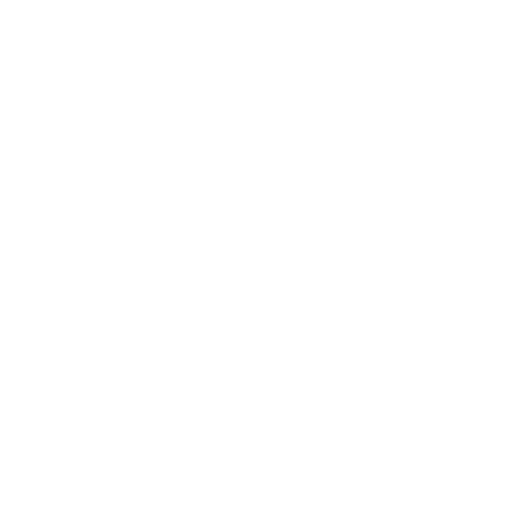 Puzzle Icon
